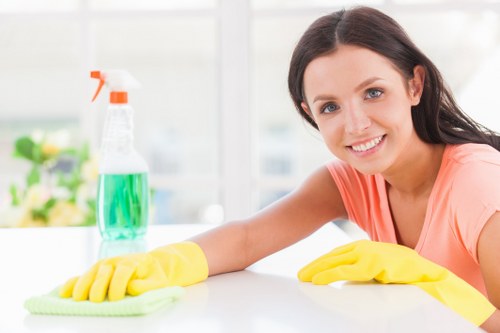 Secure Cleaners Crystalpalace payment page with protected checkout options