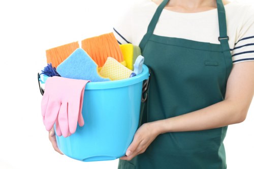 Professional carpet cleaner in Crystalpalace restoring fresh and clean flooring