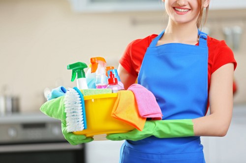 Professional cleaners providing home cleaning services in Crystal Palace