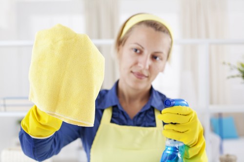 Detailed oven cleaning service in Crystal Palace with racks and trays being cleaned