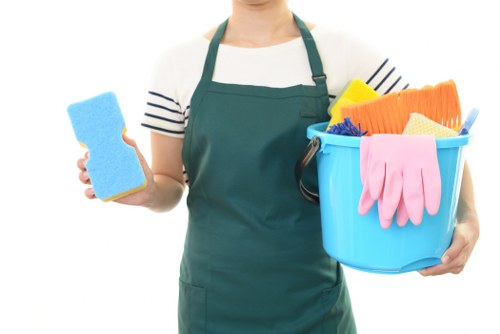 Professional carpet cleaning in Crystalpalace for a fresh and spotless interior