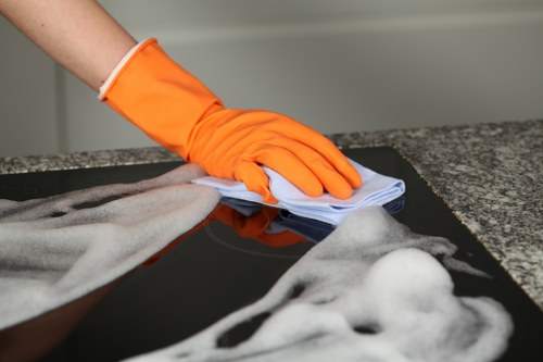 Payment and invoice discussion for cleaning services