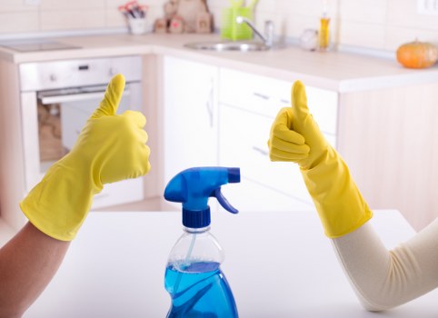 Eco-friendly end of tenancy cleaning preparation in Crystalpalace
