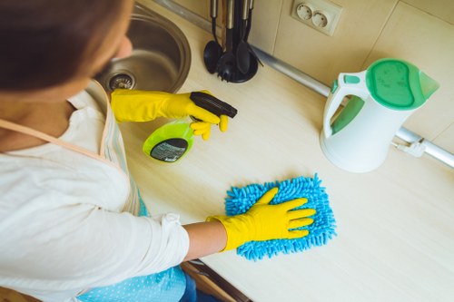 Eco-friendly Crystal Palace cleaners delivering detailed room cleaning
