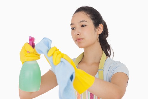Professional home cleaner in a Crystalpalace living room