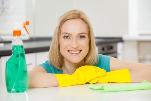 Bright, streak-free windows after cleaning in Crystalpalace