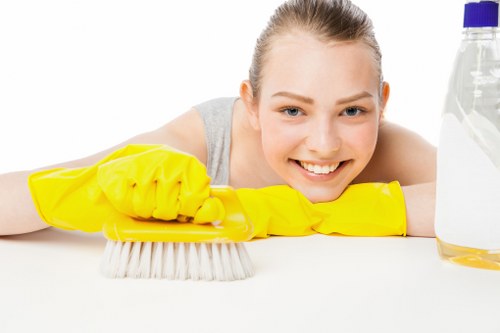 Eco-friendly cleaning company in Crystalpalace