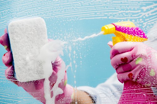 Regular cleaning service in a Crystalpalace home