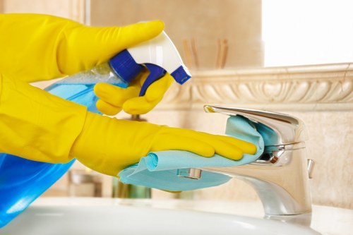 Sparkling clean Crystal Palace home after professional service