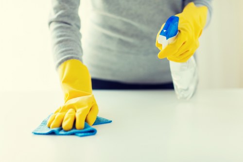 Crystal Palace cleaning team handling domestic and deep cleaning tasks