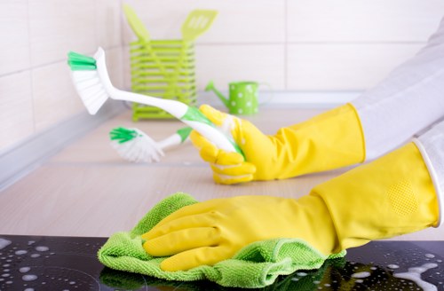 Bathroom domestic cleaning in Crystalpalace property