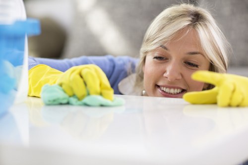 Domestic and commercial cleaning services in Crystalpalace