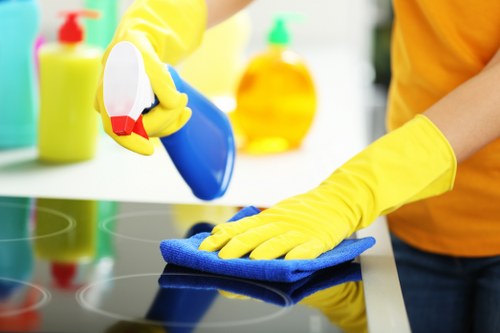 Final pricing summary for Cleaners Crystalpalace quote options