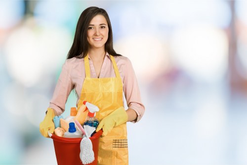 Cleaning team focusing on detailed Crystal Palace property maintenance and hygiene