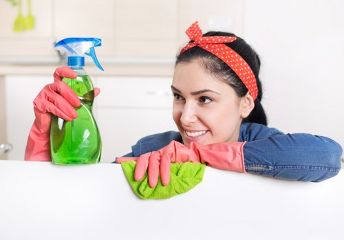 Detailed bathroom deep cleaning in Crystal Palace
