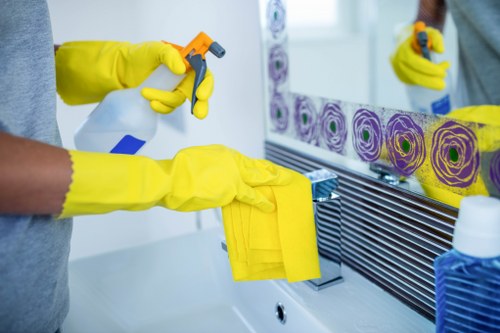 Close-up of a thorough cleaning process in a Crystal Palace home or workplace