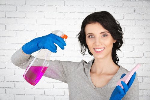 Stain removal and carpet refresh service in Crystalpalace property