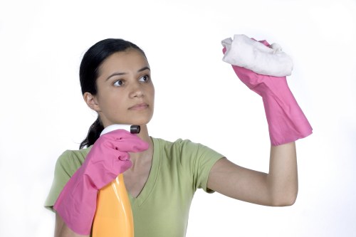 Cleaner polishing surfaces during after builders cleaning in Crystalpalace