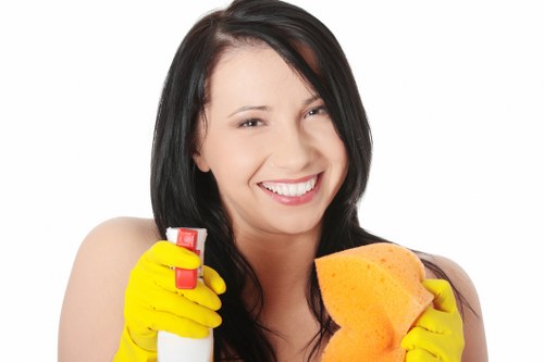 Custom office cleaning plan for businesses in Crystalpalace