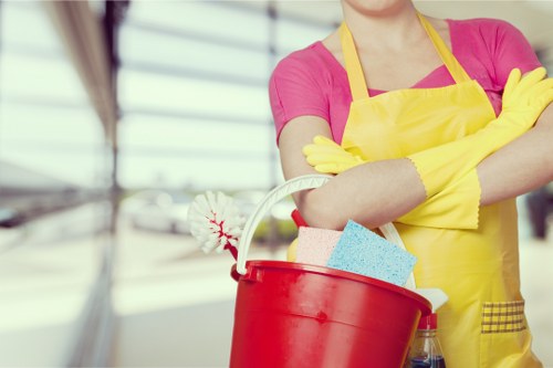 Regular house cleaning service in Crystalpalace