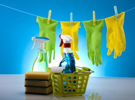 Regular domestic cleaning tasks in Crystalpalace