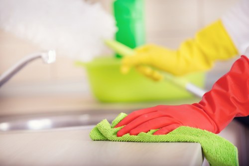 Professional cleaner in Crystal Palace working in a modern home